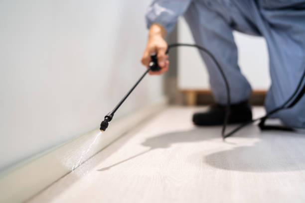 Licensed Pest Control service in Riner, VA - Show Me Pest Control