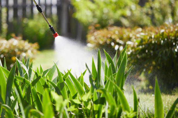 Tamper-Resistant Bait Stations for Rodents in Riner