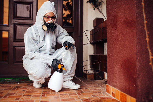 Attic and Crawl Space Rodent Treatment in Riner