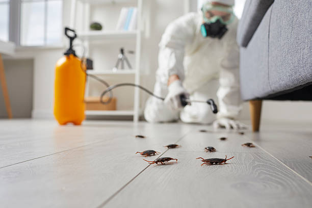 Commercial Rodent Management in Riner